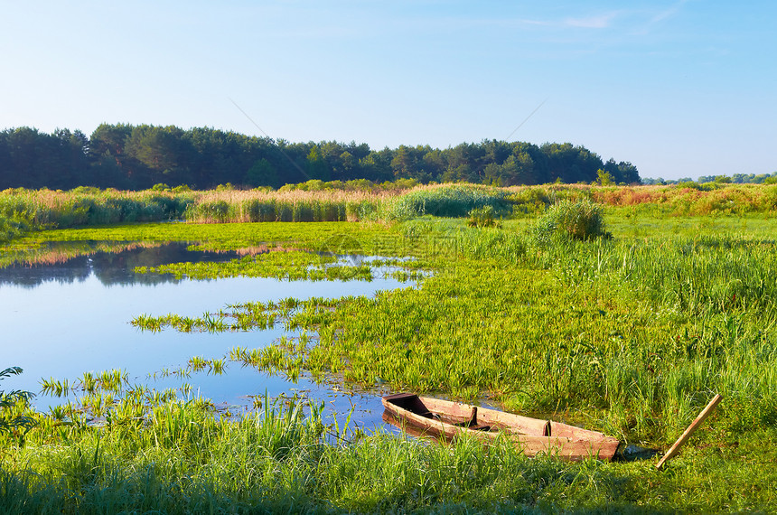 湖上的船只钓鱼甘蔗植物沼泽地银行树木衬套季节洪水芦苇图片