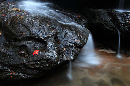 瀑布热带雨林急流森林水道湿度溜槽白内障自然浸泡木头背景