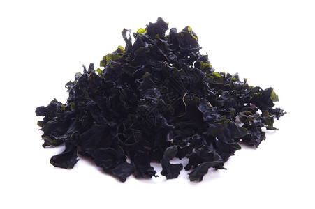 棕囊藻干棕藻保鲜褐藻白背昆布黑色食品干货海藻食物背景