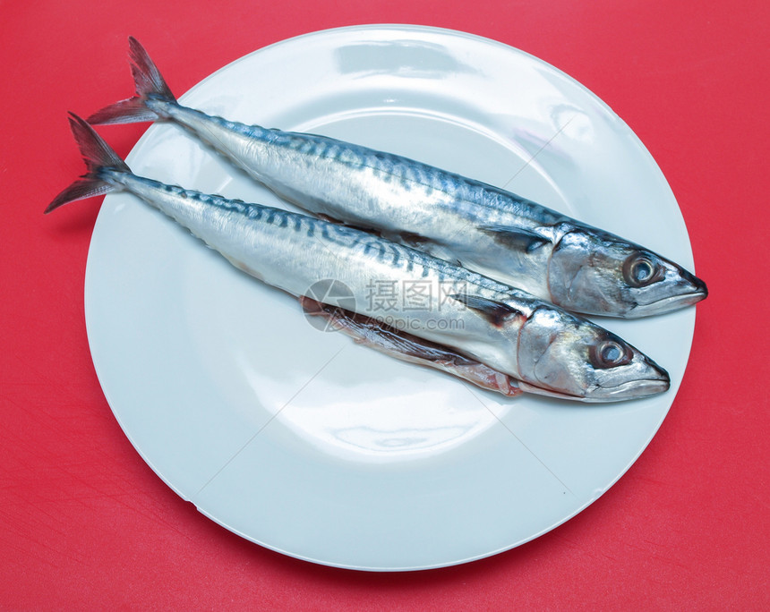Raw 竹鱼鱼脂肪菜板营养鲭鱼荒野木板眼睛梳理美食食物图片