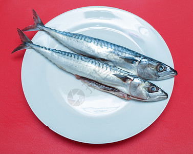Raw 竹鱼鱼脂肪菜板营养鲭鱼荒野木板眼睛梳理美食食物背景图片