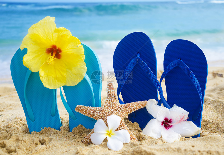 沙沙滩上带热带花朵的浮流和海星图片