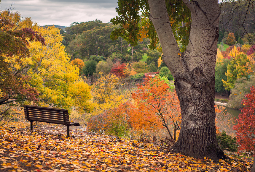 秋季视图长椅国家旅行旅游橙子风景丘陵季节绿色公园图片