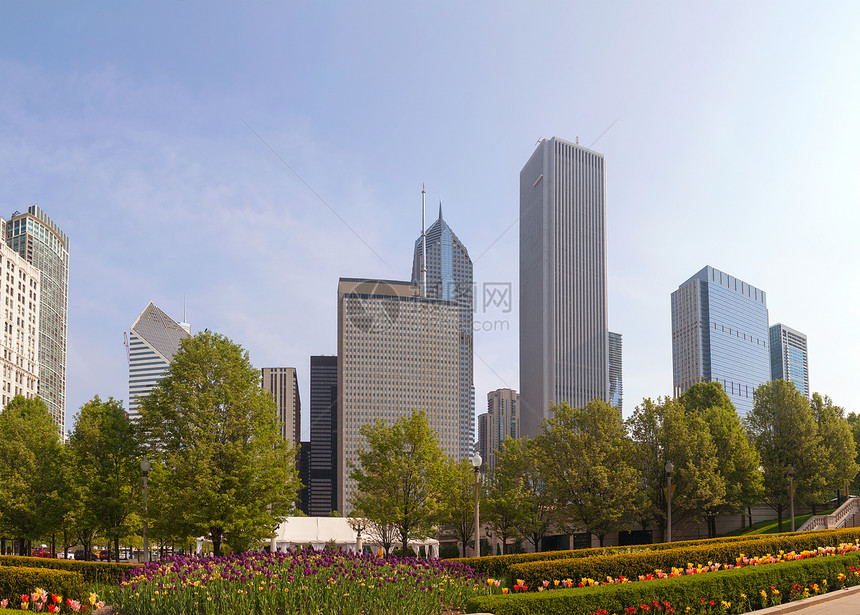 芝加哥城市景观全景图片