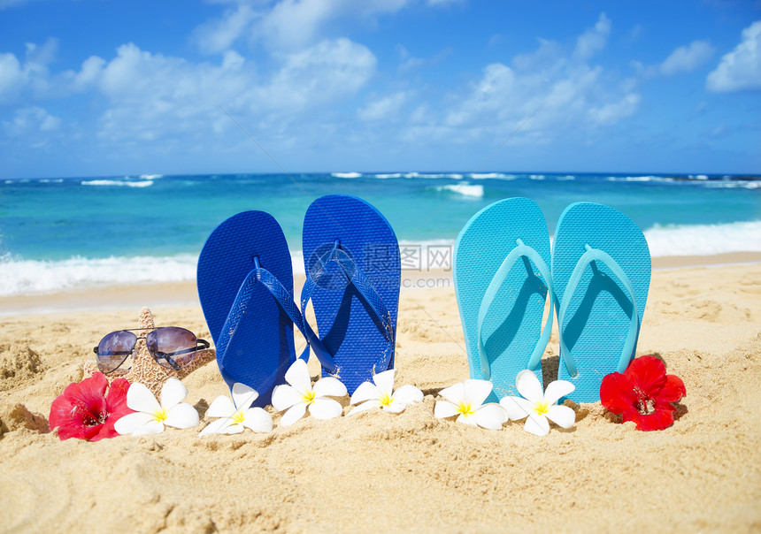 沙沙滩上有太阳眼镜的浮流和海星太阳镜凉鞋地点旅行花朵木槿热带气候蓝色家庭图片