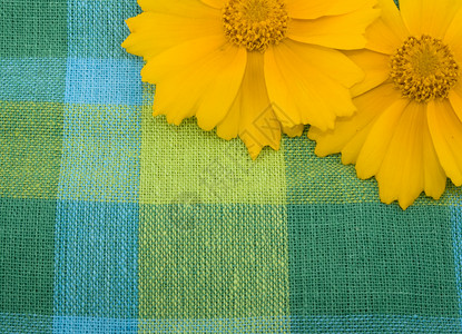 衬织和黄花织物花瓣纺织品黄色绿色蓝色背景图片