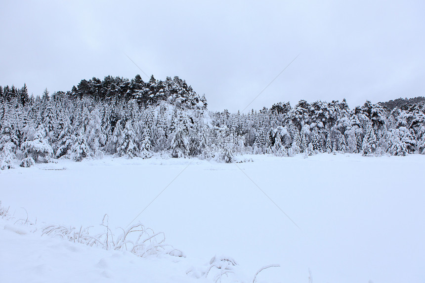 挪威的冬季景观天气风暴旅行植物天空目的地区系时间灰色图片