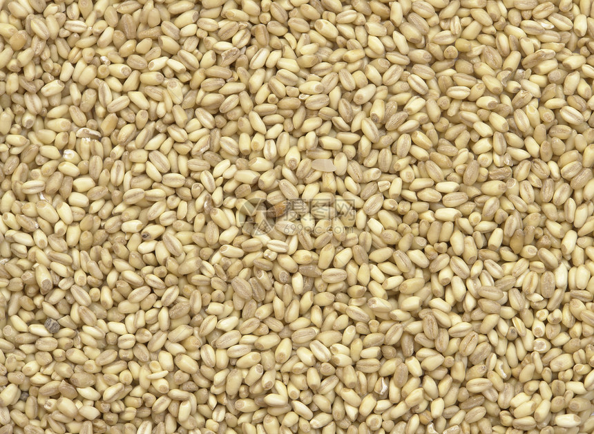 小麦黄色谷物植物种子面粉麦片研磨白色燕麦食物图片