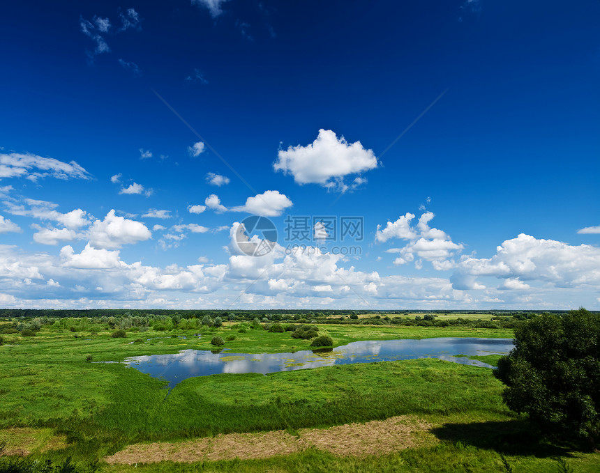 夏季外地场地土地反射场景美化蓝色城市地平线农业芦苇图片