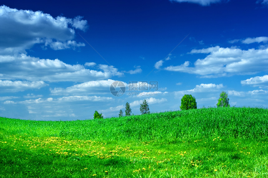 绿草地 有美丽的蓝色天空图片