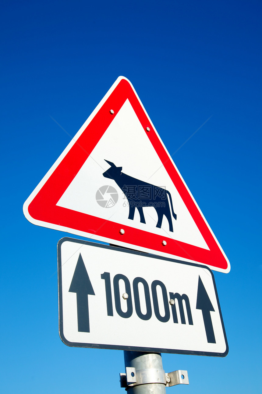乳牛标志奶牛农业警告招牌动物旅行手臂农村穿越乡村图片