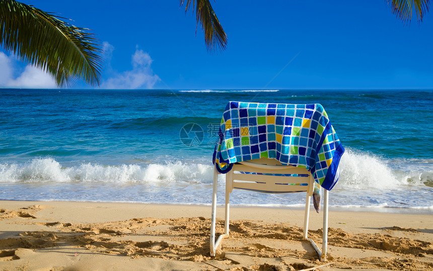 海滩椅棕榈毛巾假期旅游海洋地点树叶比基尼气候阳光图片