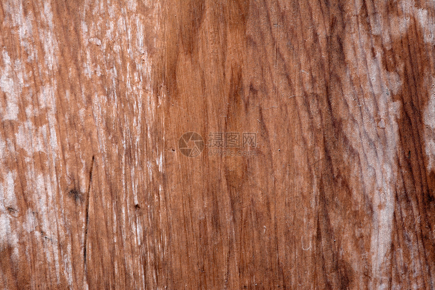 木制背景木头框架木地板墙纸材料控制板硬木木板橡木线条图片