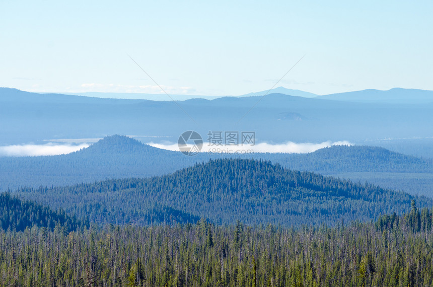 森林覆盖的山丘图片