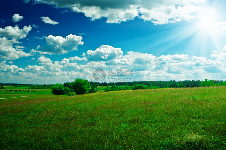 绿色绿地 有美丽的蓝色天空和阳光图片