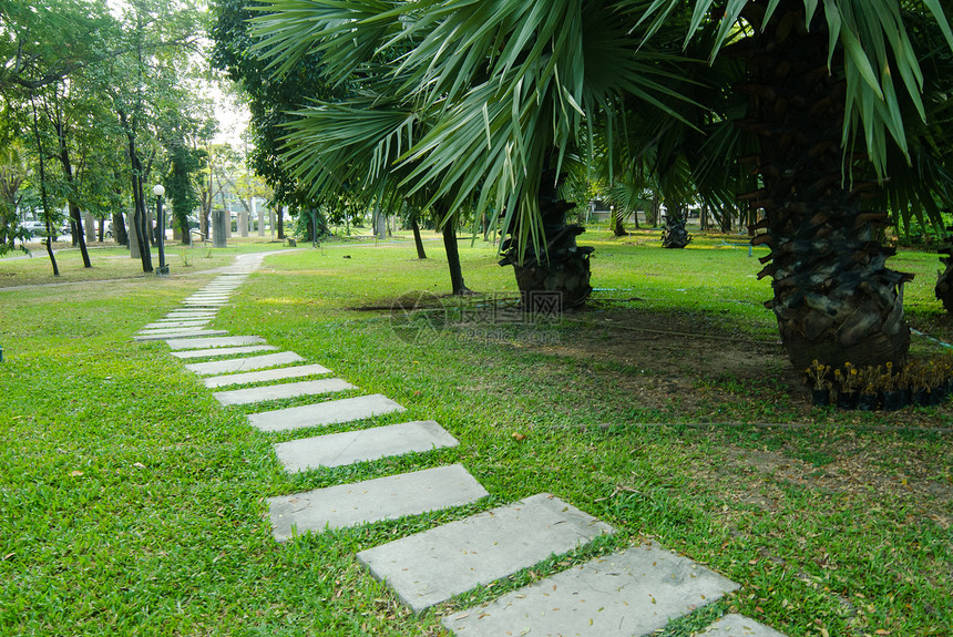 在公共公园中行走的路线场景季节正方形植物车道叶子城市跑步金子美丽图片