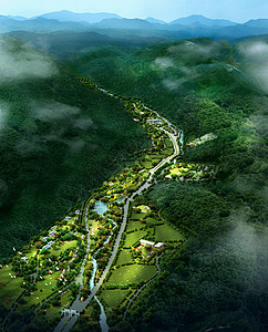 3D 景观可视化规划灌木居住树木植物渲染公园背景图片