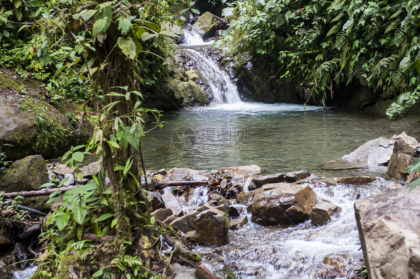 厄瓜多尔雨林中瀑布的假期风景天堂荒野森林小路绿色旅行生态公园图片