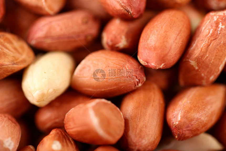 花生的极端近视图像白色棕色杂货店种子小吃坚果营养食物图片