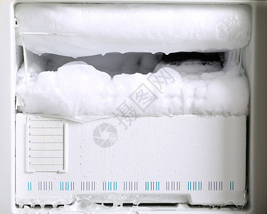 冰箱的麻烦全球荒野冻结白色黑色气候环境动物背景图片