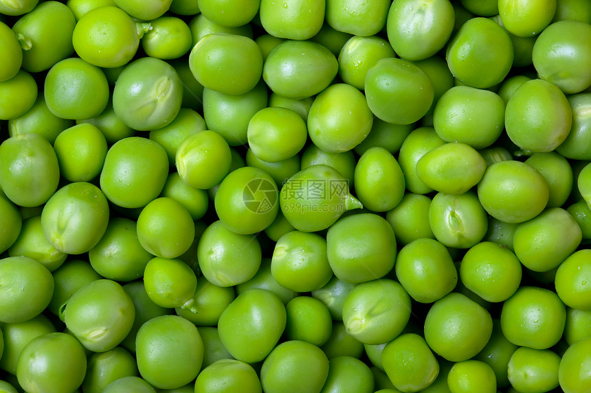 青豆食物蔬菜绿色饮食豆类植物农业营养活力产品图片