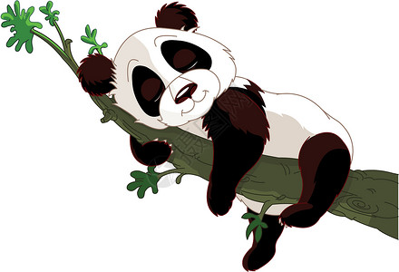 睡枕熊猫睡在树枝上设计图片