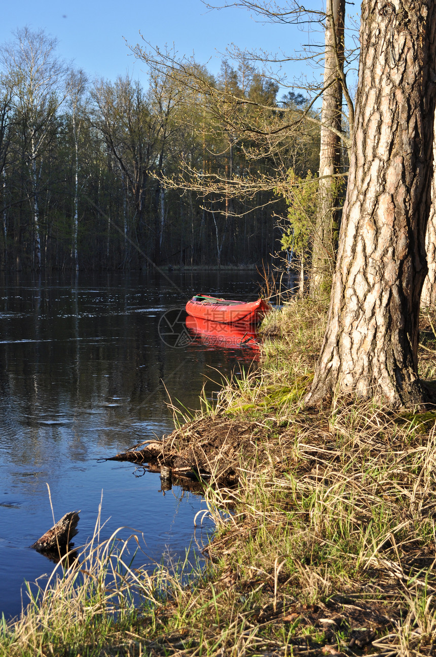 弹簧合金的充气皮艇天空环境美丽森林草地叶子溪流反射衬套树木图片