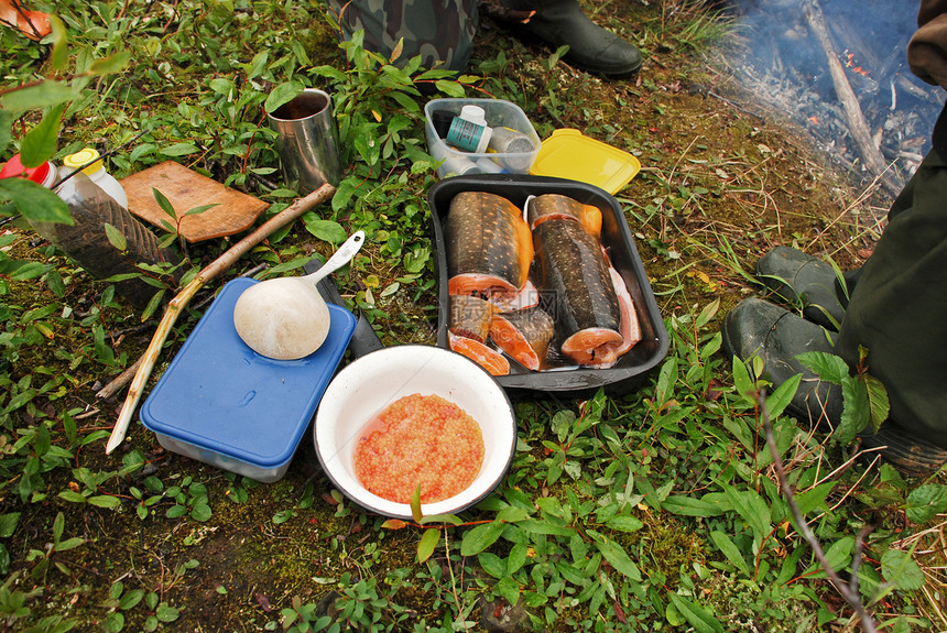 北极鲑鱼晚餐盘子旅游营养钓鱼美食图片
