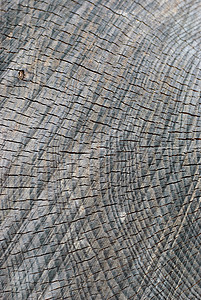 木木结构木头线条灰色材料圆形背景图片
