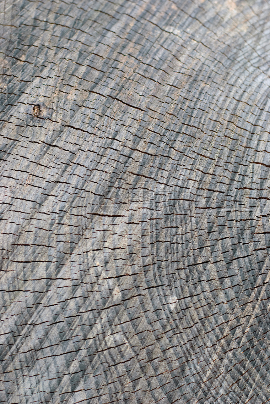 木木结构灰色材料木头圆形线条图片