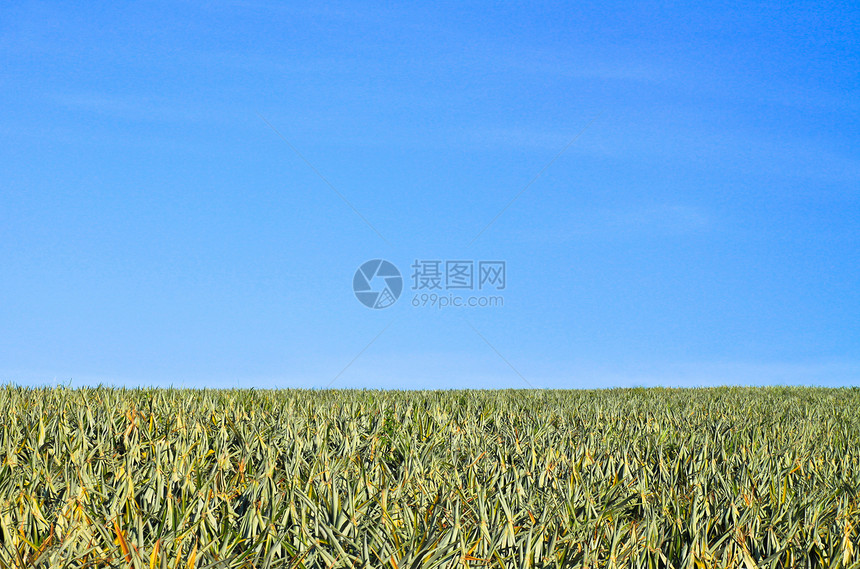 草农村农业天气远景太阳爬坡草原天堂农场阳光图片