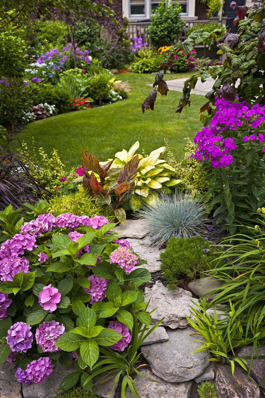 园圃和花卉灌木丛植物群住宅绿化闲暇花坛石头院子植物园艺图片