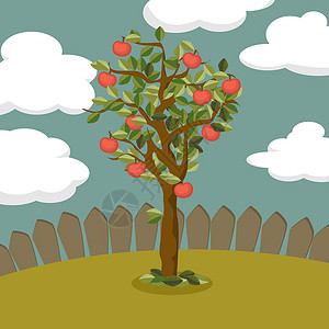 多枝的苹果树插图插画