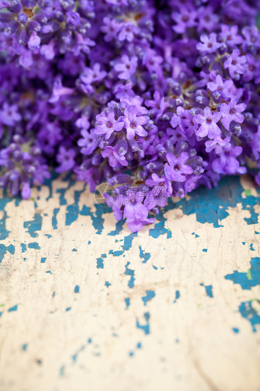 脱衣花温泉紫色疗法蓝色草本植物香气紫丁香木头花束药品图片