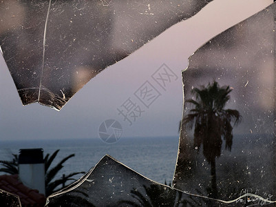 折断棕榈窗户高清图片