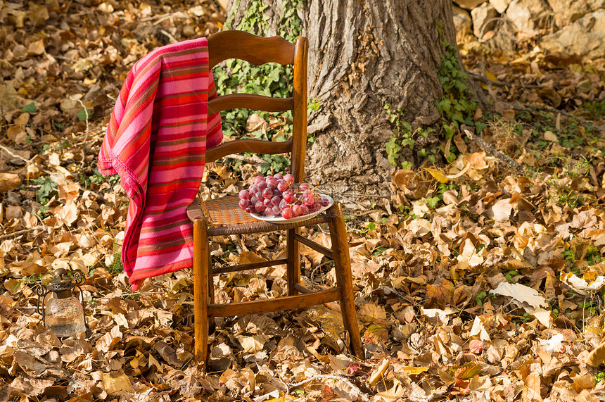 坠落现场毯子食物怀旧椅子乡愁水平季节性季节乡村水果图片