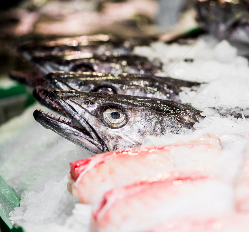 市场上的鱼营养海洋鲭鱼海鲜店铺烹饪销售钓鱼团体食物图片