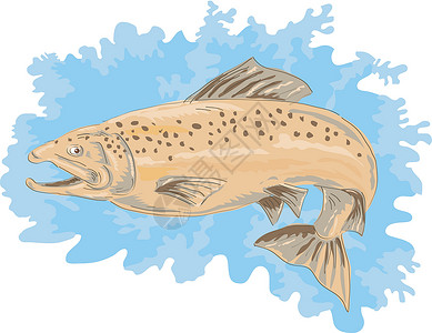 棕色鱼图片鲑鱼跳跃野生动物插图棕色斑点插画