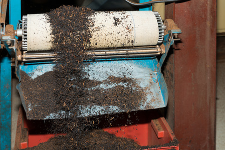 茶叶厂生产线上的黑茶粉批量背景图片