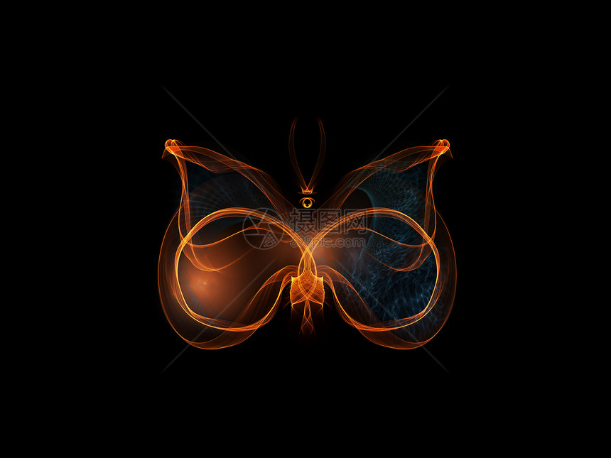 蝴蝶元素轻轨黑色想像力创造力数学翅膀昆虫图片