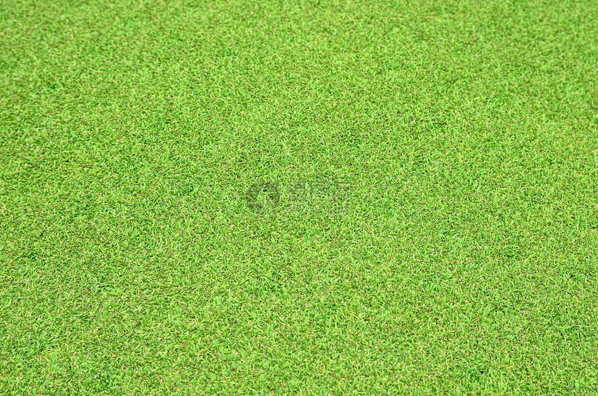 青草花园草皮地毯植物地面草地绿色娱乐公园足球图片