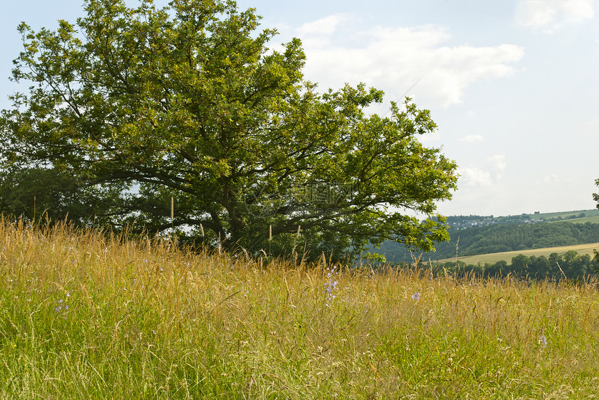 夏季夏月天空农村场地土地晴天环境丘陵绿色水平季节图片