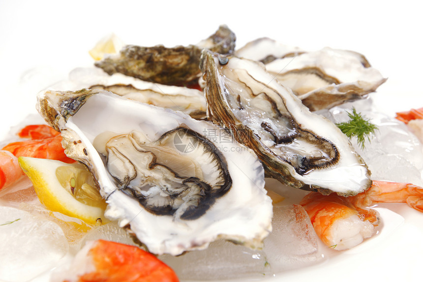 冰上新鲜海鲜市场营养盘子生活贝类牡蛎展示奢华海洋食物图片