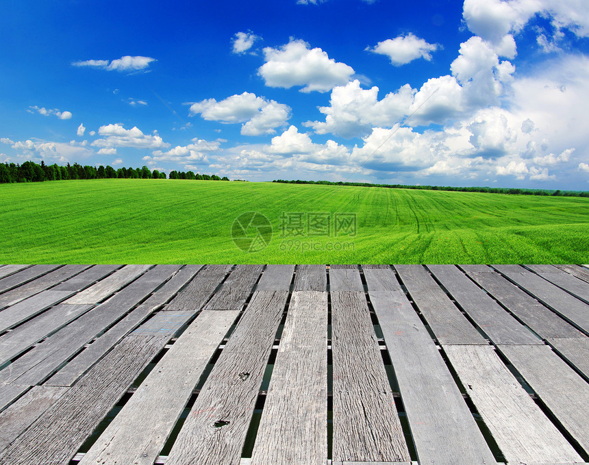 绿绿地地平线场景生长晴天农业场地国家草地农场蓝色图片