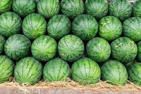 西瓜地素材西瓜农业小吃太阳种子水果食物框架背景