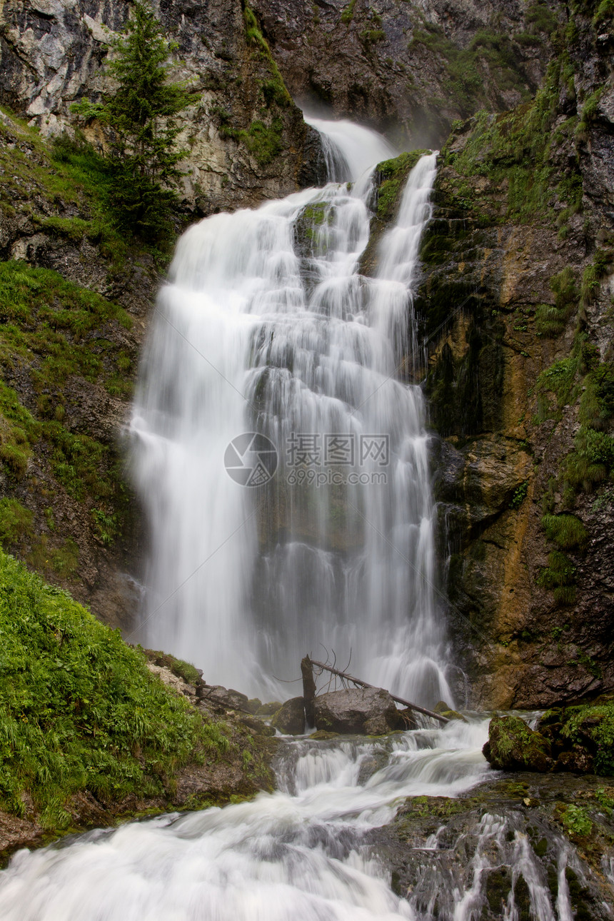 小型瀑水热带阳光岩石木头风景荒野旅行季节石头公园图片