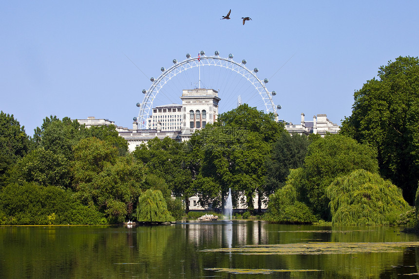 伦敦圣詹姆斯公园的景象观光皇家喷泉摩天轮地标景点车轮旅行树木公园图片
