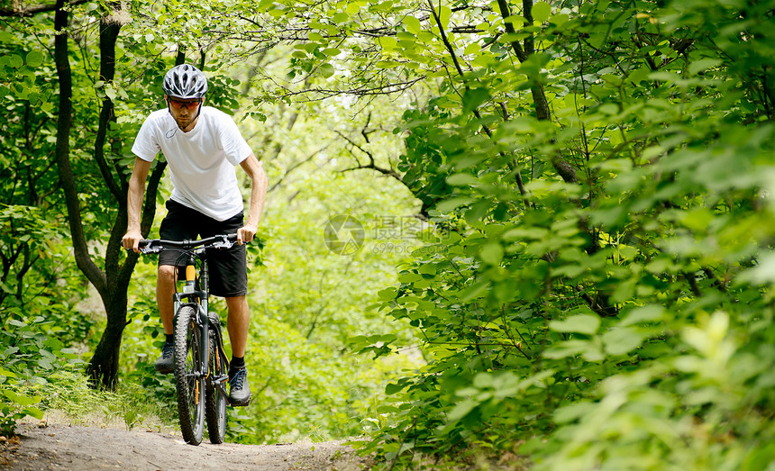赛车手骑着自行车在森林的铁轨上运动绿色成人旅行娱乐自由爬坡白色山地头盔图片