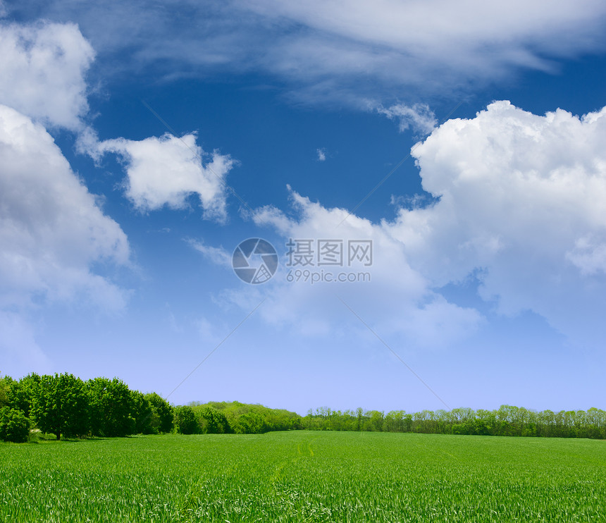 广阔的绿草 森林和蓝天白云图片