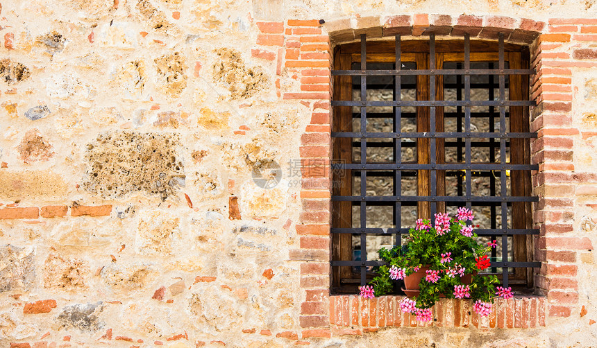 Tuscan 窗口植物房子装饰旅行窗户村庄建筑红色石头风格图片